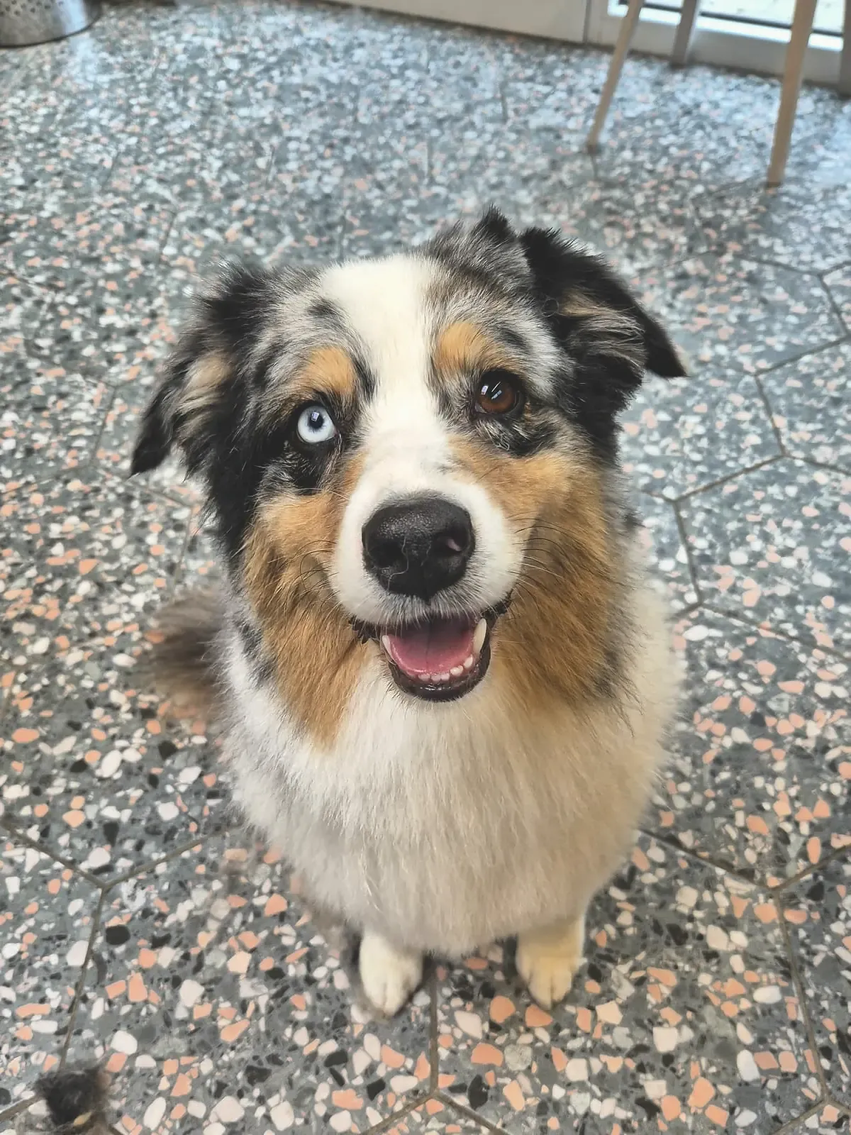 Luna na haar zomerbeurt